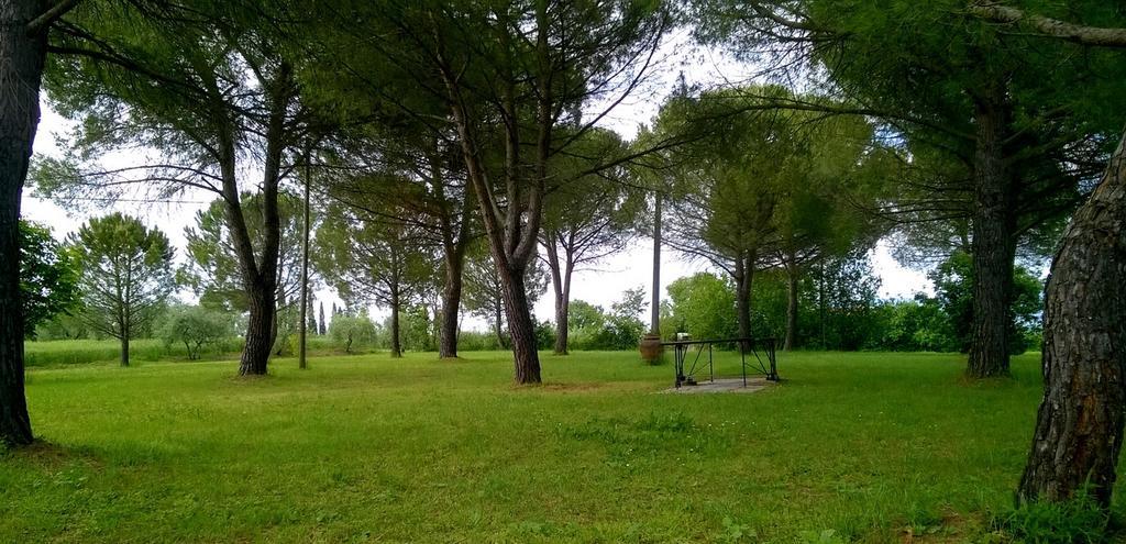 Agriturismo Podere Caggiolo - Swimming Pool & Air Conditioning Marciano della Chiana المظهر الخارجي الصورة