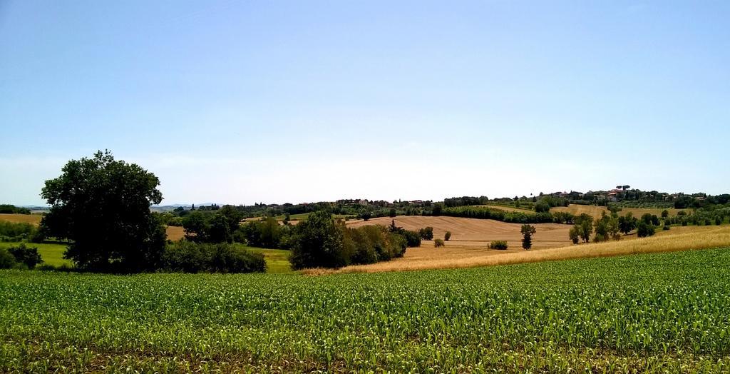 Agriturismo Podere Caggiolo - Swimming Pool & Air Conditioning Marciano della Chiana المظهر الخارجي الصورة